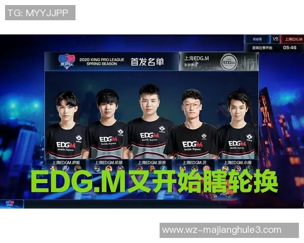 王者荣耀EDG战队配合策略分析与实战应用探讨